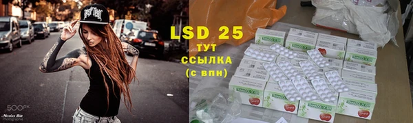 прущая мука Пересвет