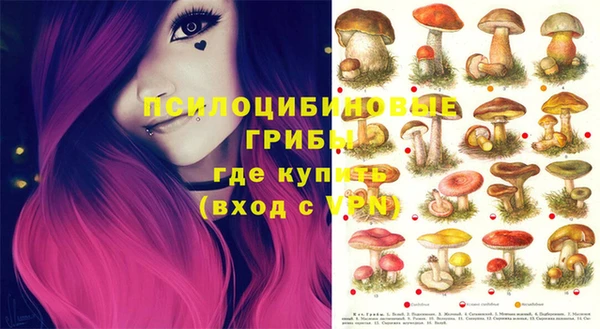 прущая мука Пересвет