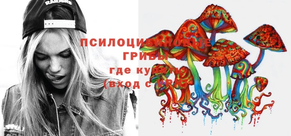 прущая мука Пересвет